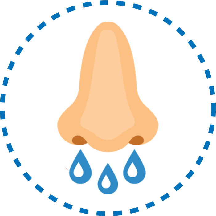 Mũi – Xoang